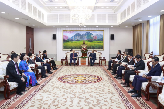 Vietnamese Peace Committee Delegation Visits Laos